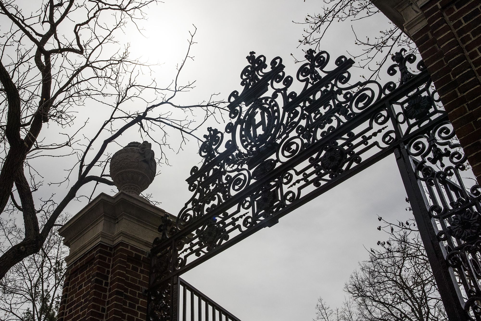 The Anguished Fallout from a Pro-Palestinian Letter at Harvard