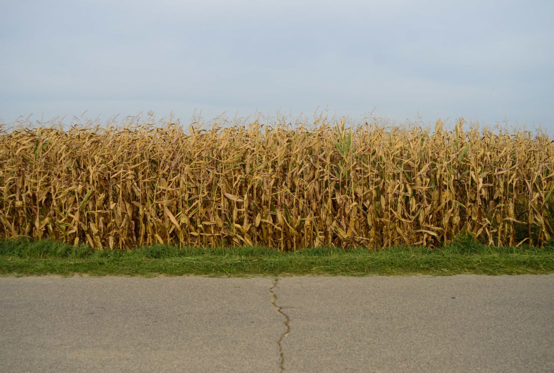 Polish agriculture has been neglected by politicians for decades, Zaleski says. But this year, the sector was dragged into a geopolitical spat that damaged Poland and Ukraine's relations.