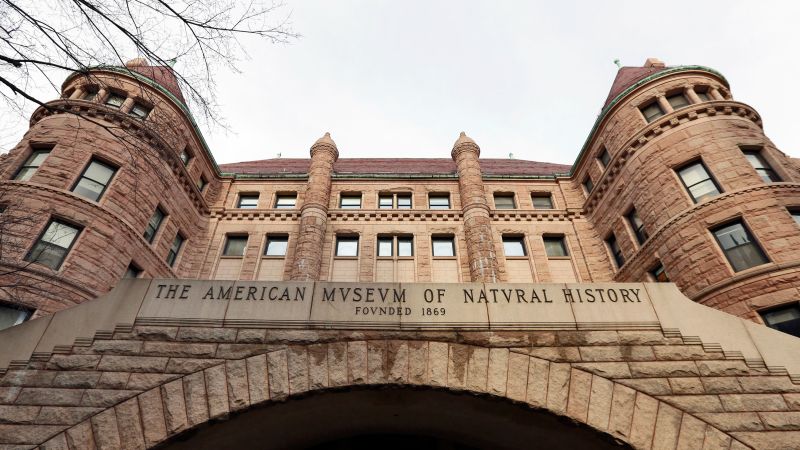 El Museo Americano de Historia Natural de Nueva York retirará restos de las exhibiciones, incluidos algunos de indígenas y negros esclavizados