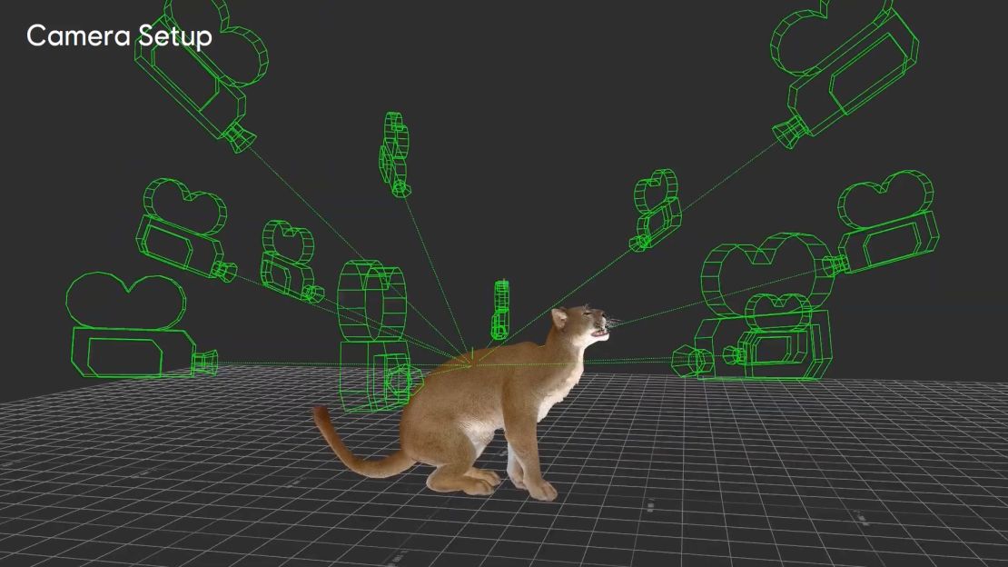 ZooBuilder: 2D and 3D Pose Estimation for Quadrupeds