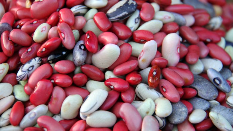 pabra bean close up