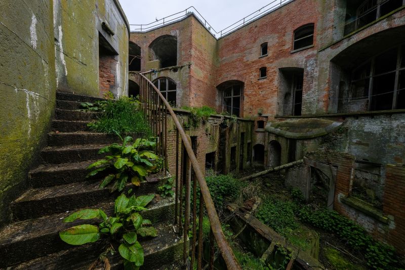 When People Move Out, Wildlife Moves In: 10 Abandoned Places Reclaimed ...