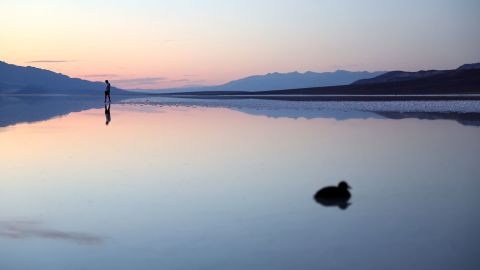 A bird floats near a person at the sprawling temporary lake at Badwater Basin salt flats on October 21, 2023 in Death Valley National Park, California. 