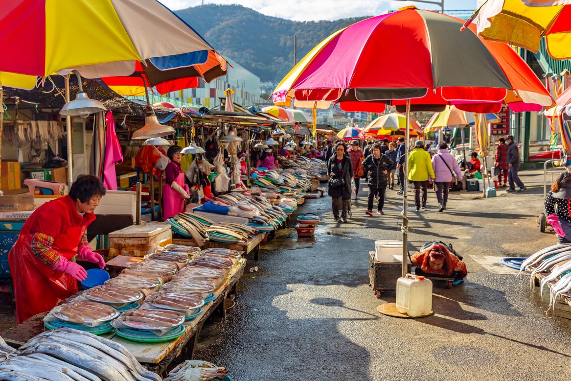 <strong>Jagalchi Market:</strong> This open-air seafood exchange is the city's living, beating heart. It's also one of Busan's best places to eat. 
