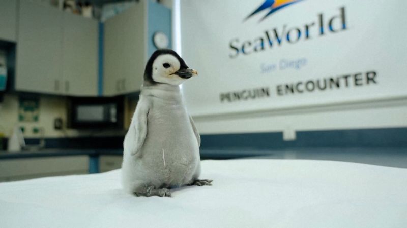 Top Destinations for Gastronomy and Mixology: Unforgettable Street Food and Cocktails