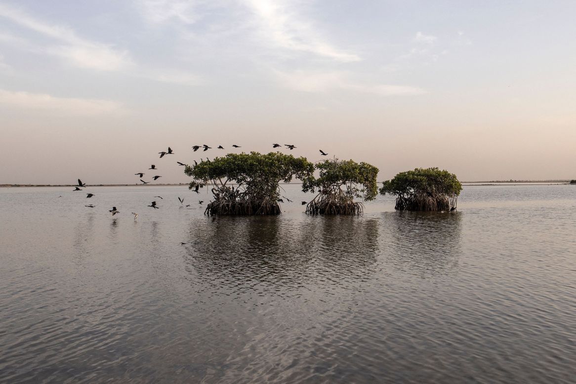 <strong>Saloum Delta, Senegal -- </strong>Senegal's Saloum Delta has played an integral part in the fabric of <a href="https://whc.unesco.org/en/list/1359" target="_blank" target="_blank">local culture over the last 2,000 years</a>. Rich with shellfish, the delta has 200 islands, man-made shellfish mounds and burial sites, all surrounded by an intricate web of rivers. This ecosystem stands out for its resilience and preservation.