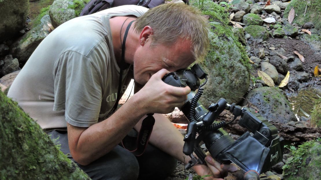 Murray estimates he has discovered around 30 new species through his photography.