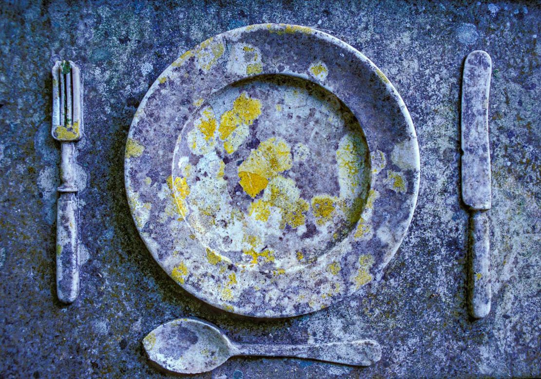 Roberto Bueno found this abandoned place setting in Portugal, winning him the Plants and Fungi category.