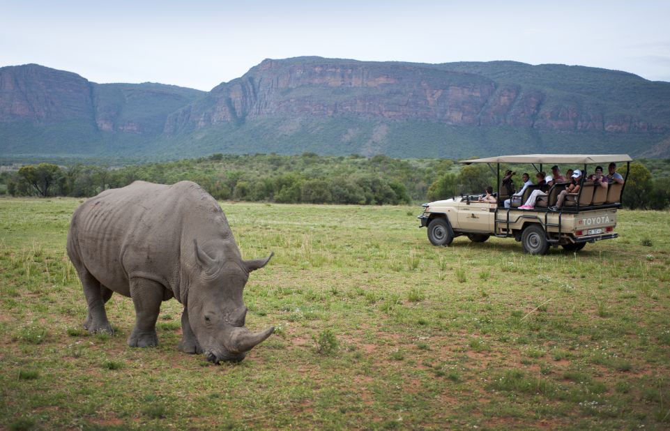 With Africa's traditional "Big Five" animals -- lion, leopard, rhino, elephant, and buffalo -- all present on the reserve, safari driving tours are a popular excursion.
