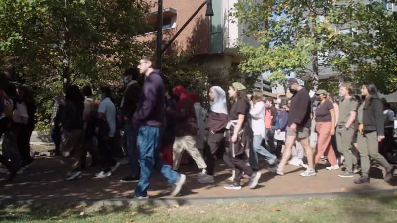 US campus protests: Students say how the Israel-Hamas war is impacting them