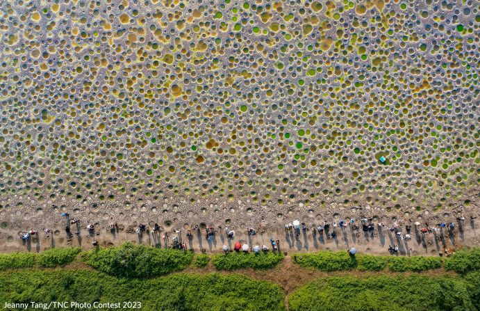 A dried pond in Hong Kong, photographed by Jeanny Tang, reveals colorful holes dug by fish for spawning. 