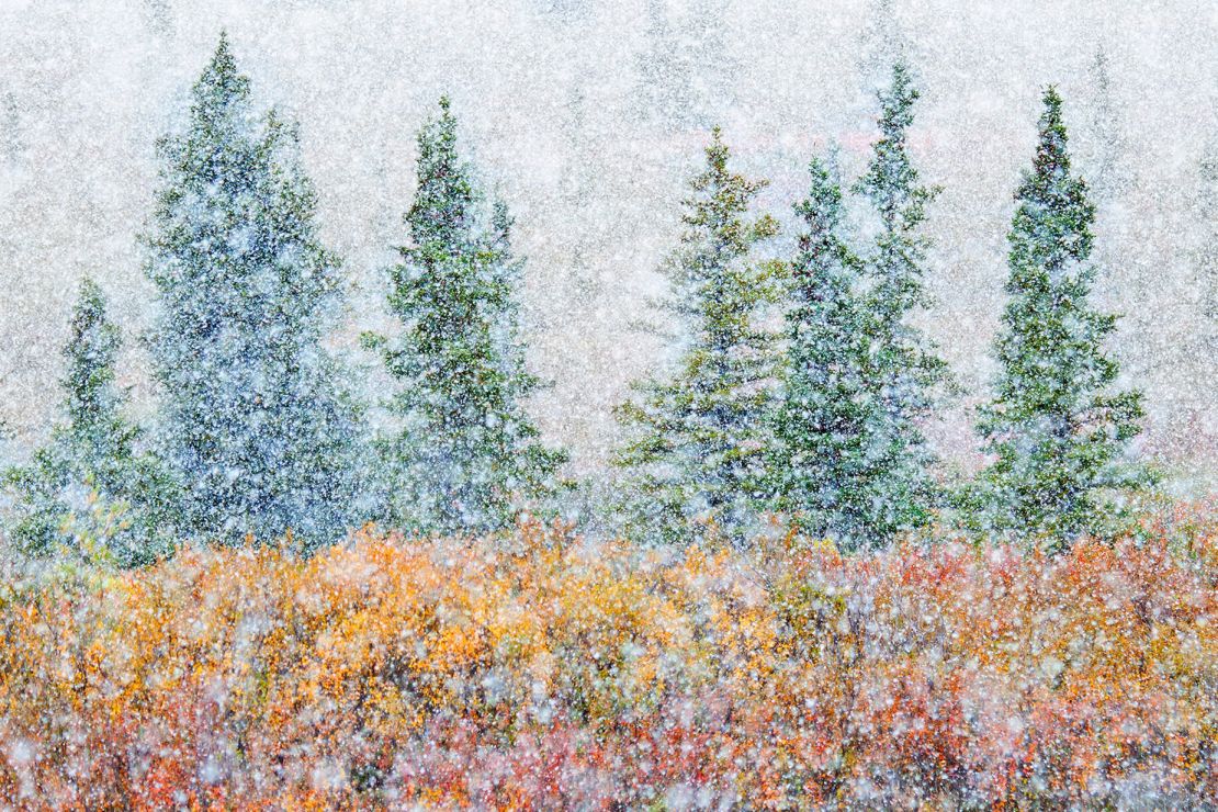 Alessandro Carboni​'s image depicts a mix of autumn colors amid the first snow of the season.