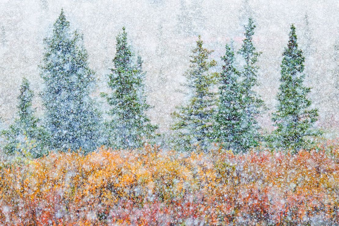 Alessandro Carboni's image depicts a mix of autumn colors amid the first snow of the season.