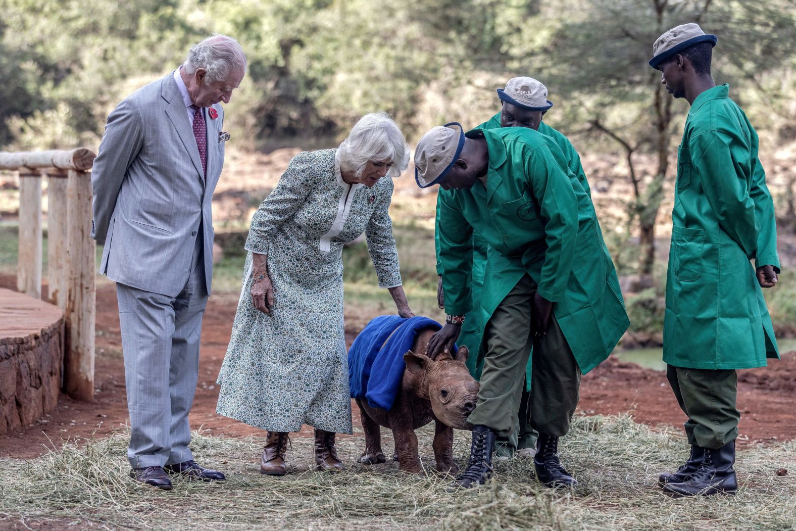 Britain's Queen Camilla and King Charles meet a baby rhino named Raha during a visit to the Sheldrick Wildlife Trust Elephant Orphanage in Nairobi, Kenya, on Wednesday, November 1.