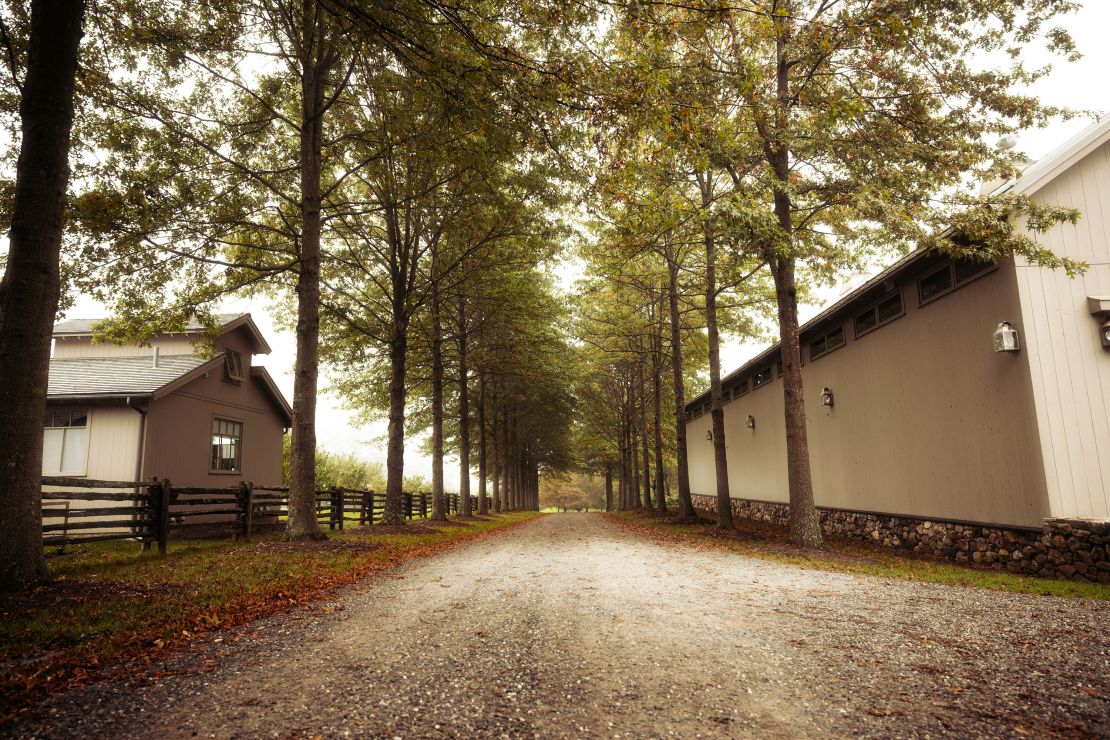 The road at Martha Stewart's farm.