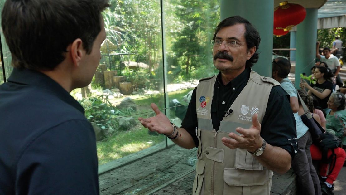 David Culver visits Panda Xin Xin, one of the last remaining pandas in the Americas, in Mexico City Zoo.