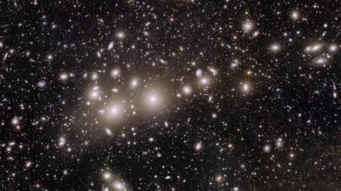 The Euclid telescope captured an image of the 1,000 galaxies contained within the Perseus cluster, as well as 100,000 faint, distant galaxies behind the cluster. The cluster is located 240 million light-years from Earth.