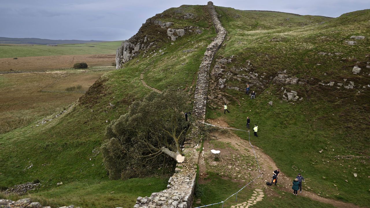NORTHUMBERLAND, ENGLAND - SEPTEMBER 28: 'Sycamore Gap' tree on Hadrian's Wall now lies on the ground, leaving behind only a stump in the spot it once proudly stood on September 28, 2023 northeast of Northumberland, England. The tree, which was apparently felled overnight, was one of the UK's most photographed and appeared in the 1991 Kevin Costner film "Robin Hood: Prince Of Thieves." (Photo by Jeff J Mitchell/Getty Images)