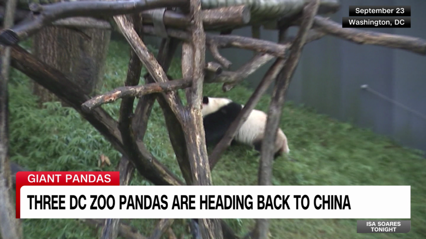 exp Washington China panda diplomacy 110802PSEG2 cnni world_00003001.png