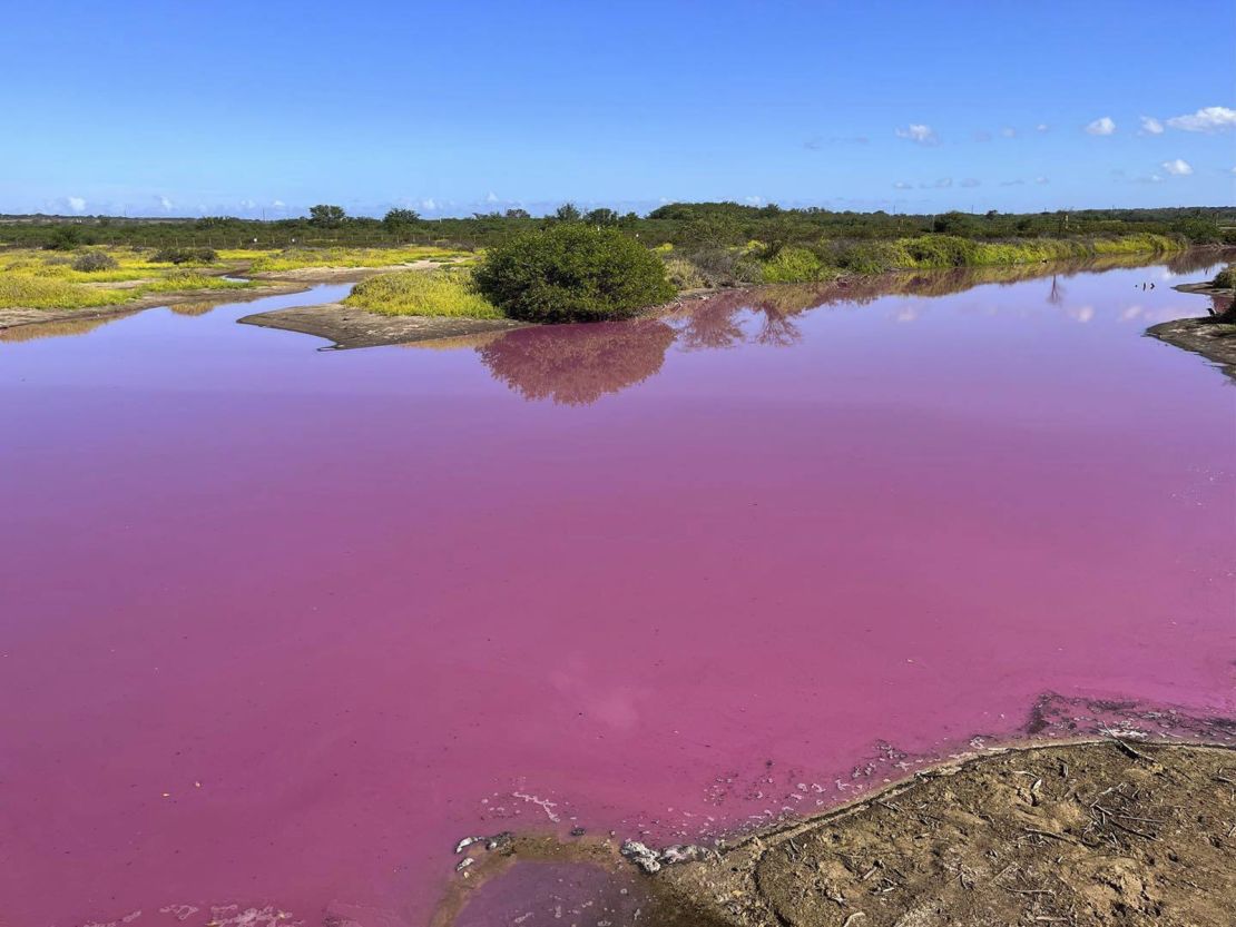 This Nov. 8, 2023, photo provided by Leslie Diamond shows the pond at the Kealia Pond National Wildlife Refuge on Maui, Hawaii, that turned pink on Oct. 30, 2023. Officials in Hawaii are investigating why the pond turned pink, but there are some indications that drought may be to blame. (Leslie Diamond via AP)