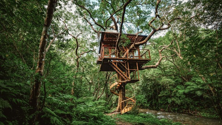 The original treehouse at Treeful in Okinawa prefecture.