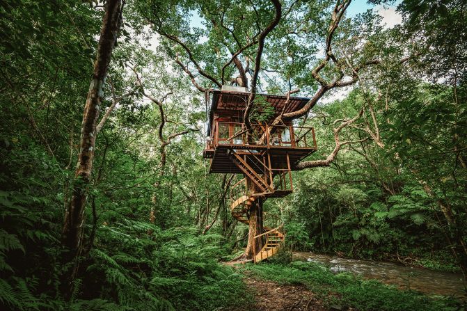 <strong>Treeful:</strong> Deep in the Okinawan forest, Treeful is a hotel that takes sustainability to a new level.