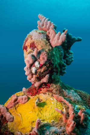 <strong>Aquatic gallery: </strong>The captivating installation recently expanded significantly, with 31 new sculptures added to the site.