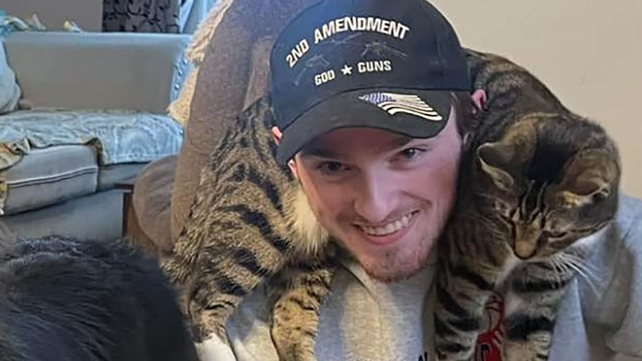 cats with guns killing people