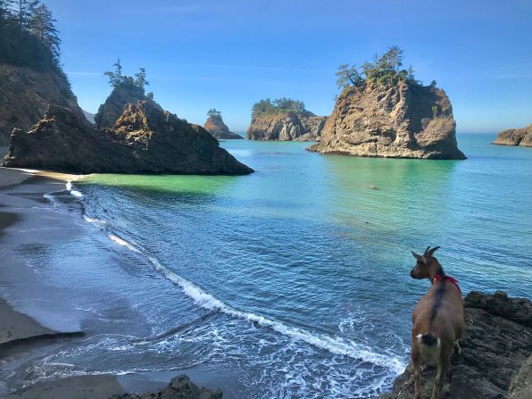 <strong>Adventure-filled days:</strong> Frankie is particularly fond of the Oregon Coast due to all the "fun rocks to jump on," and loves slot canyons.<br />