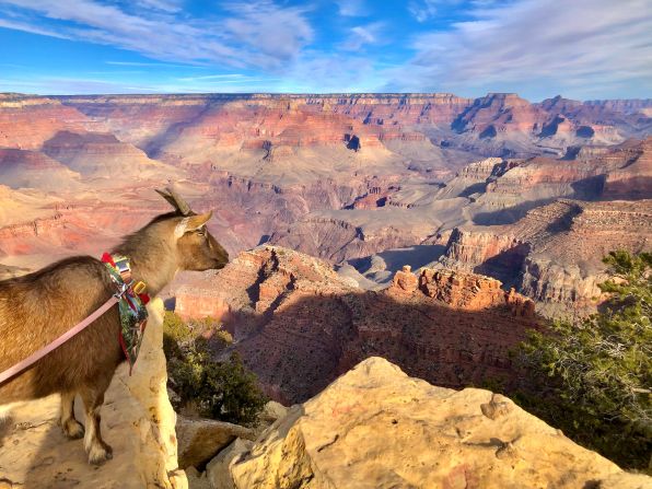 <strong>Exploration enthusiast: </strong>"She likes to explore the world with us," adds Cate. "She enjoys it just as much as we do."