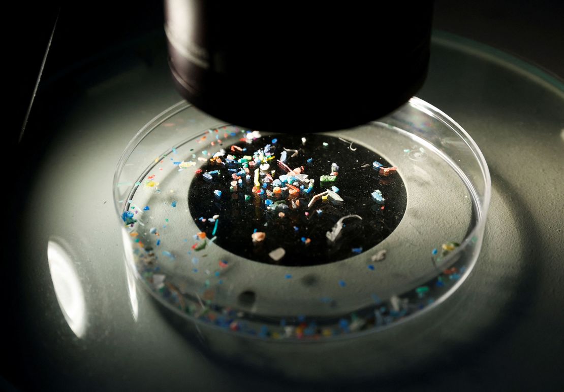 Marine scientist Anna Sanchez Vidal shows microplastics collected from the sea with a microscope at Barcelona's University, during a research project 