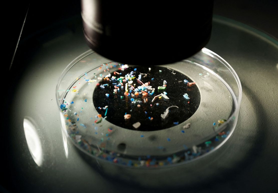 Marine scientist Anna Sanchez Vidal shows microplastics collected from the sea with a microscope at Barcelona's University, during a research project