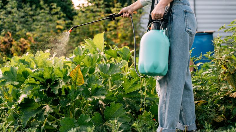 Study Finds Widespread Impact of Common Pesticides on Global Sperm Counts in Food