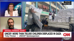 exp unicef humanitarian ceasefire guest live 111402PSEG3 cnni world_00014701.png