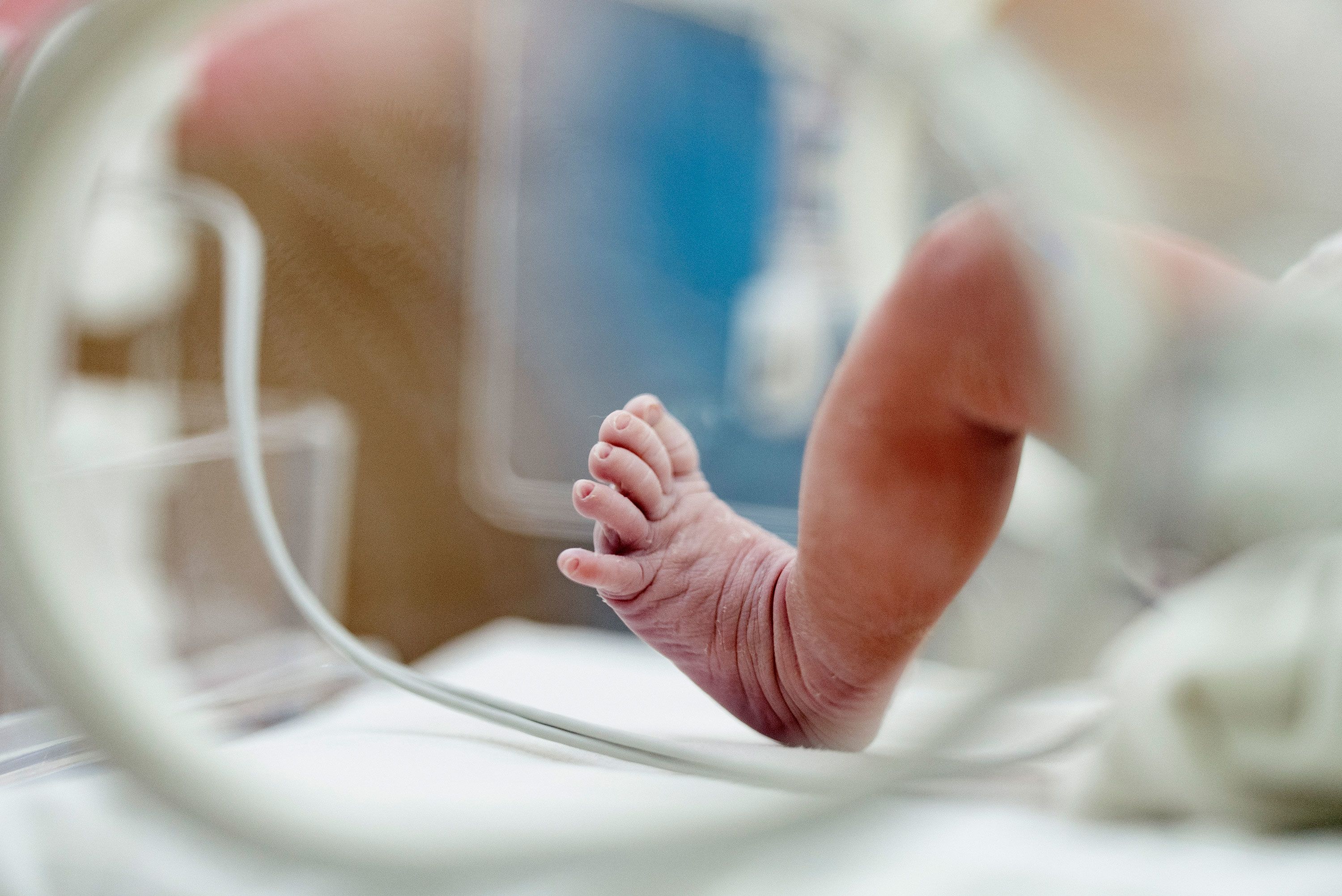 Everywhere' chemicals linked to rise in preterm births, study says