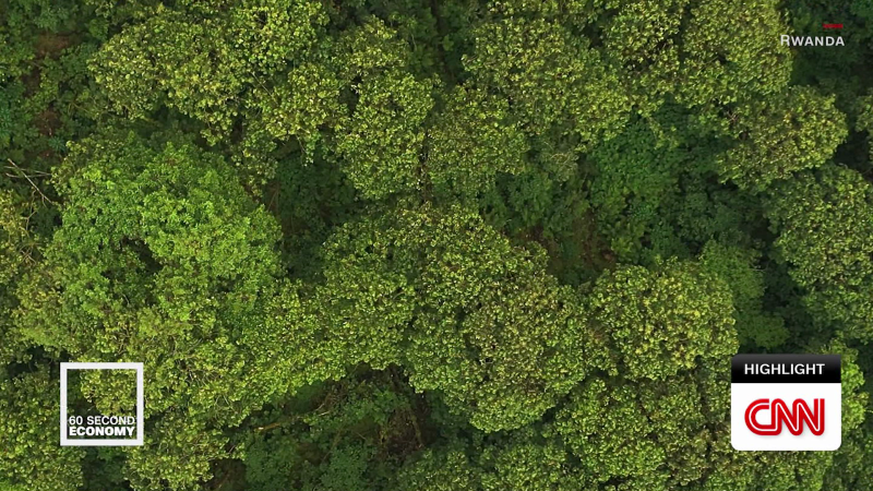 exp 60 Second Economy Rwanda | CNN Business