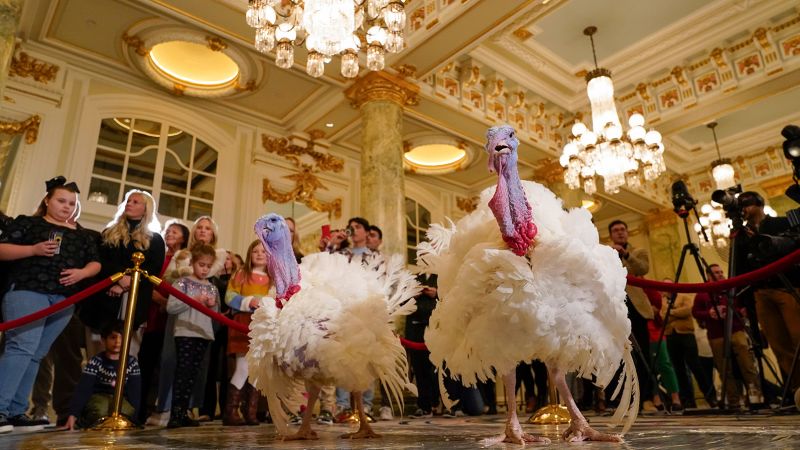Biden grants turkey justice as Liberty and Bell ride the gravy train to the White House
