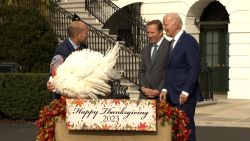 biden turkeys