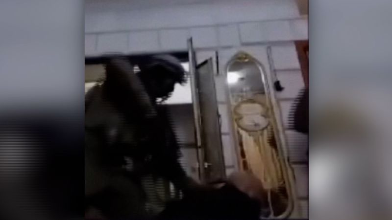 Watch: Video shows Israeli soldiers forcefully arresting Palestinian man in his home