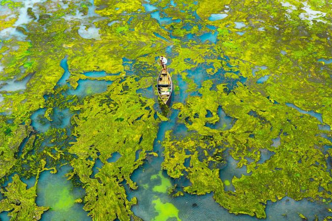 Other photos shortlisted for the prize include one taken by Aniruddha Pal in West Bengal, India, of bright green algae spreading over water.  