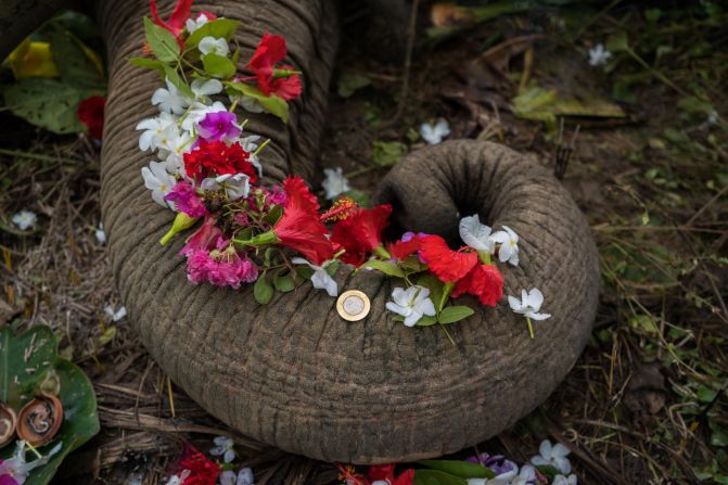 In a village on the edge of a forest in Rani, India, three wild elephants died due to electrocution. The local villagers paid tribute to the elephants by offering prayers with flowers, incense sticks and coins -- photographed by Saurav Kumar Boruah.