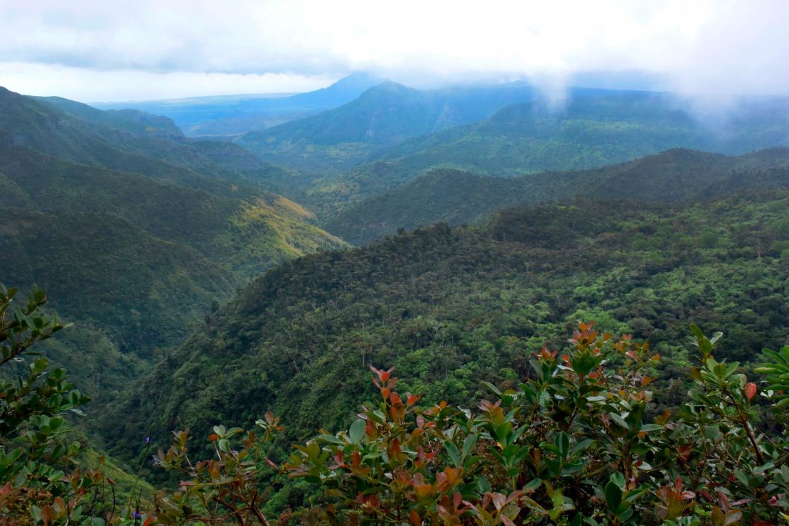 14 November 2017, Mauritius, Chamarel: The Black River Gorges National Park on the island of Mauritius in the Indian Ocean. Photo by: Holger Hollemann/picture-alliance/dpa/AP Images