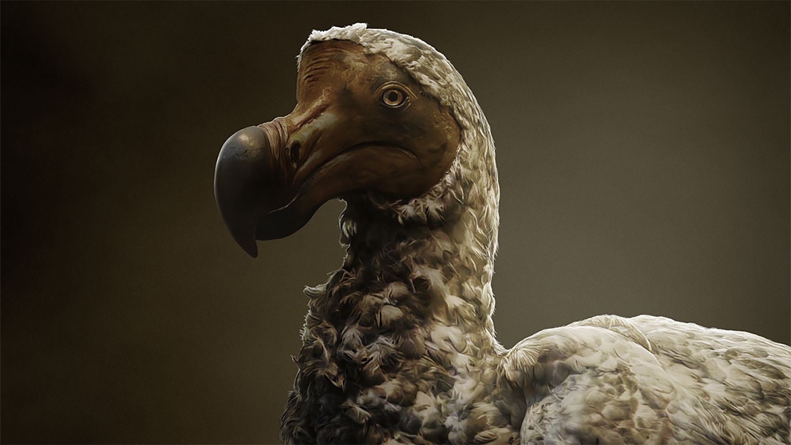 Not so dead as a dodo: 'De-extinction' plan to reintroduce bird to