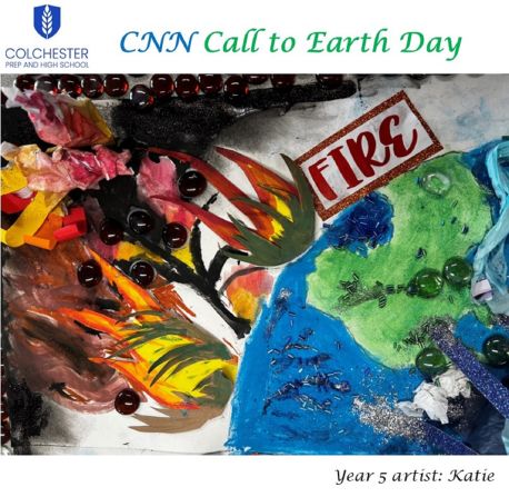 cognita colchester 1