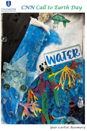 cognita colchester 2