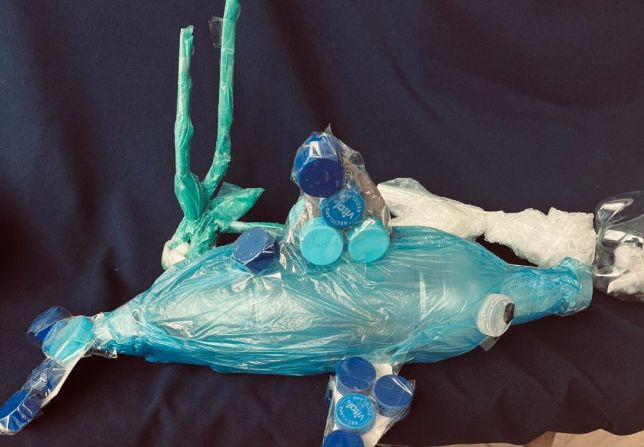 cognita dunalastair 1