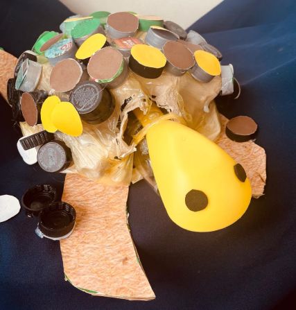 cognita dunalastair 2