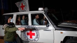 A Red Cross vehicle carrying Israeli hostages enters the Rafah border crossing on November 25.