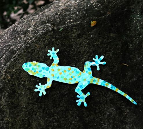 cognita green valley 1