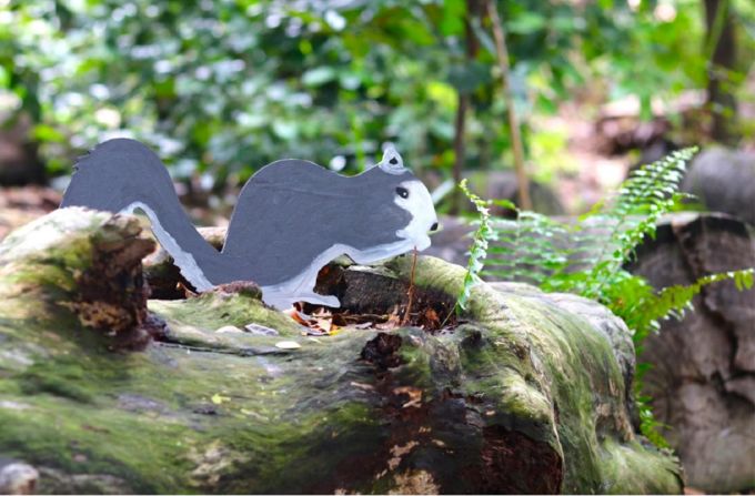 cognita green valley 3